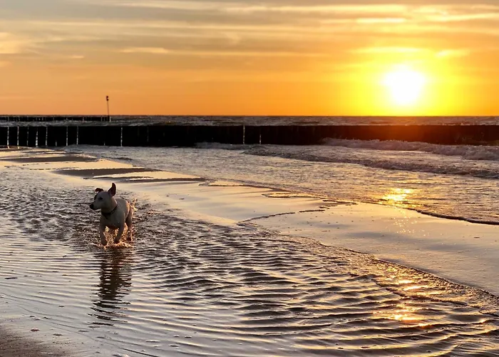 Lejlighed Blue Mare Przy Promenadzie 200 M Beach, Kapitalna Lokalizacja, Lage, Free Parking *